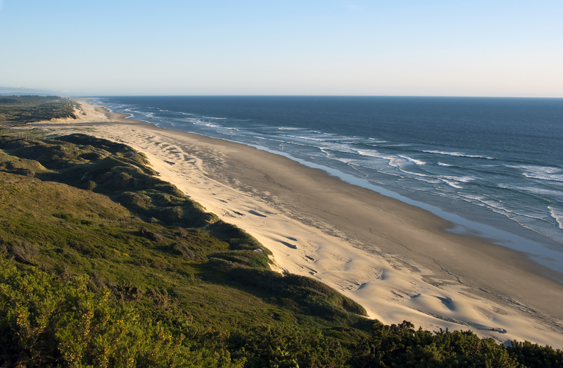 Coastline view of sand dunes next to ocean