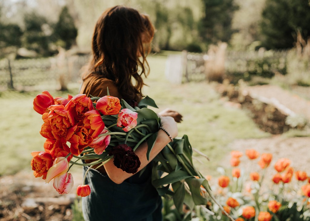 Elizabeth Brown, from her book The Beginner's Cut Flower Garden.